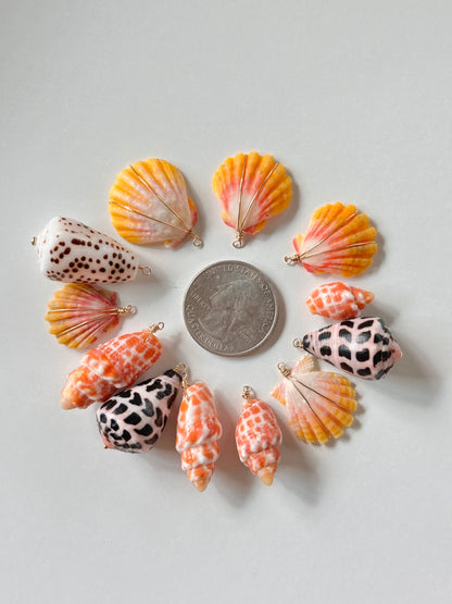 Charm Bar Sunrise, Miter, Hebrew + Flea Shells