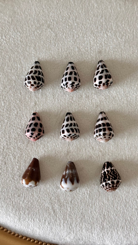 Charm Bar Shells