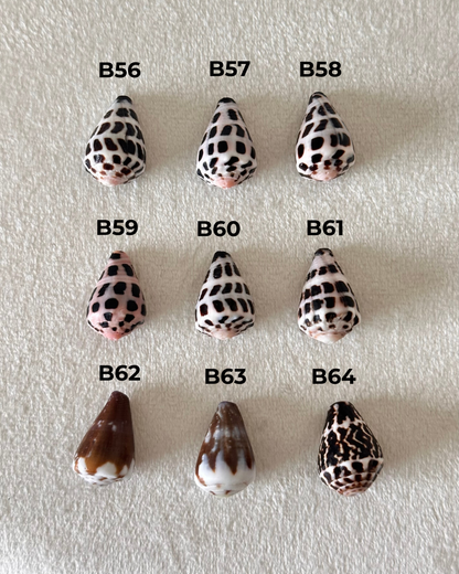 Charm Bar Shells