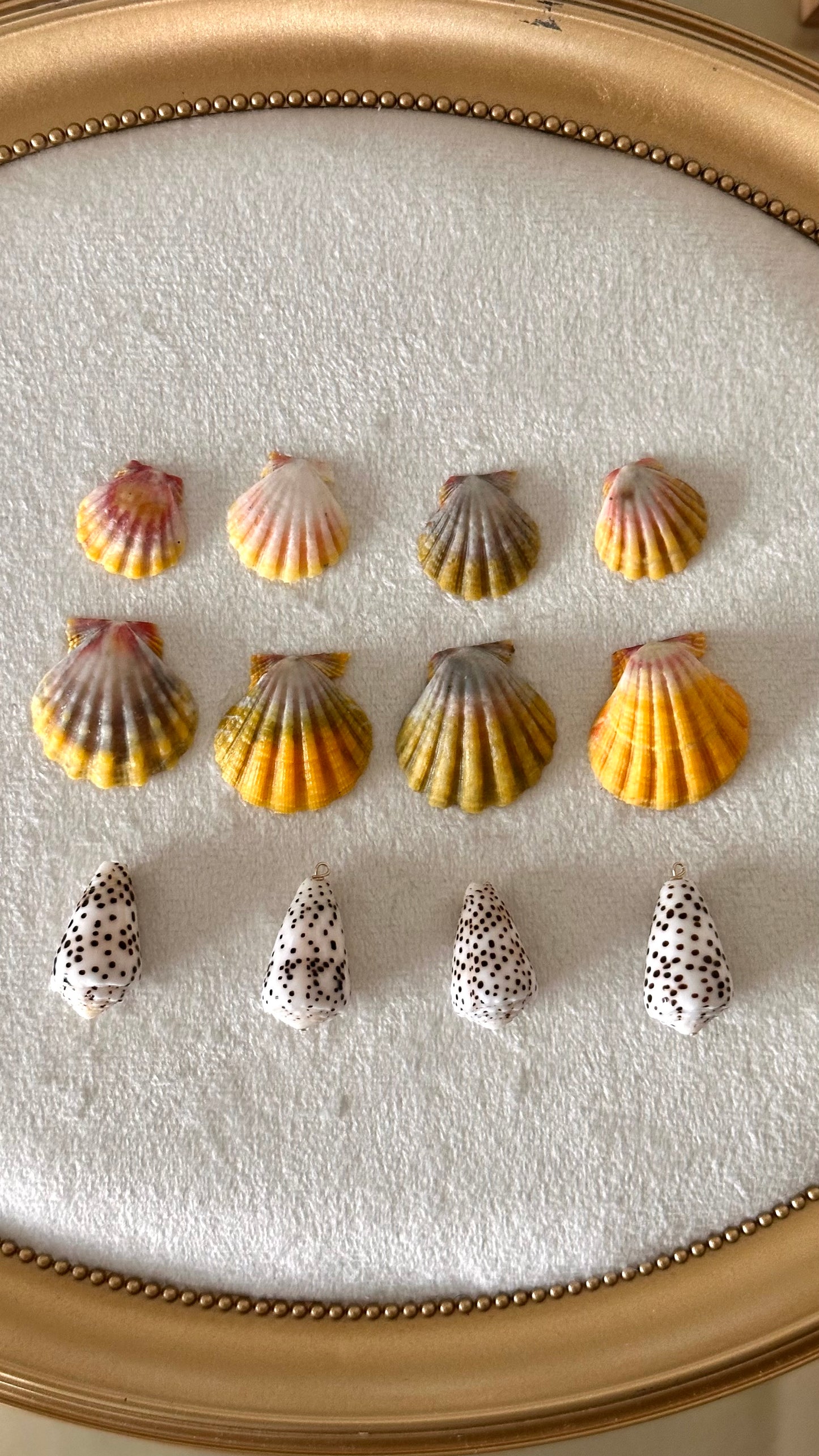 Charm Bar Sunrise + Flea Shells