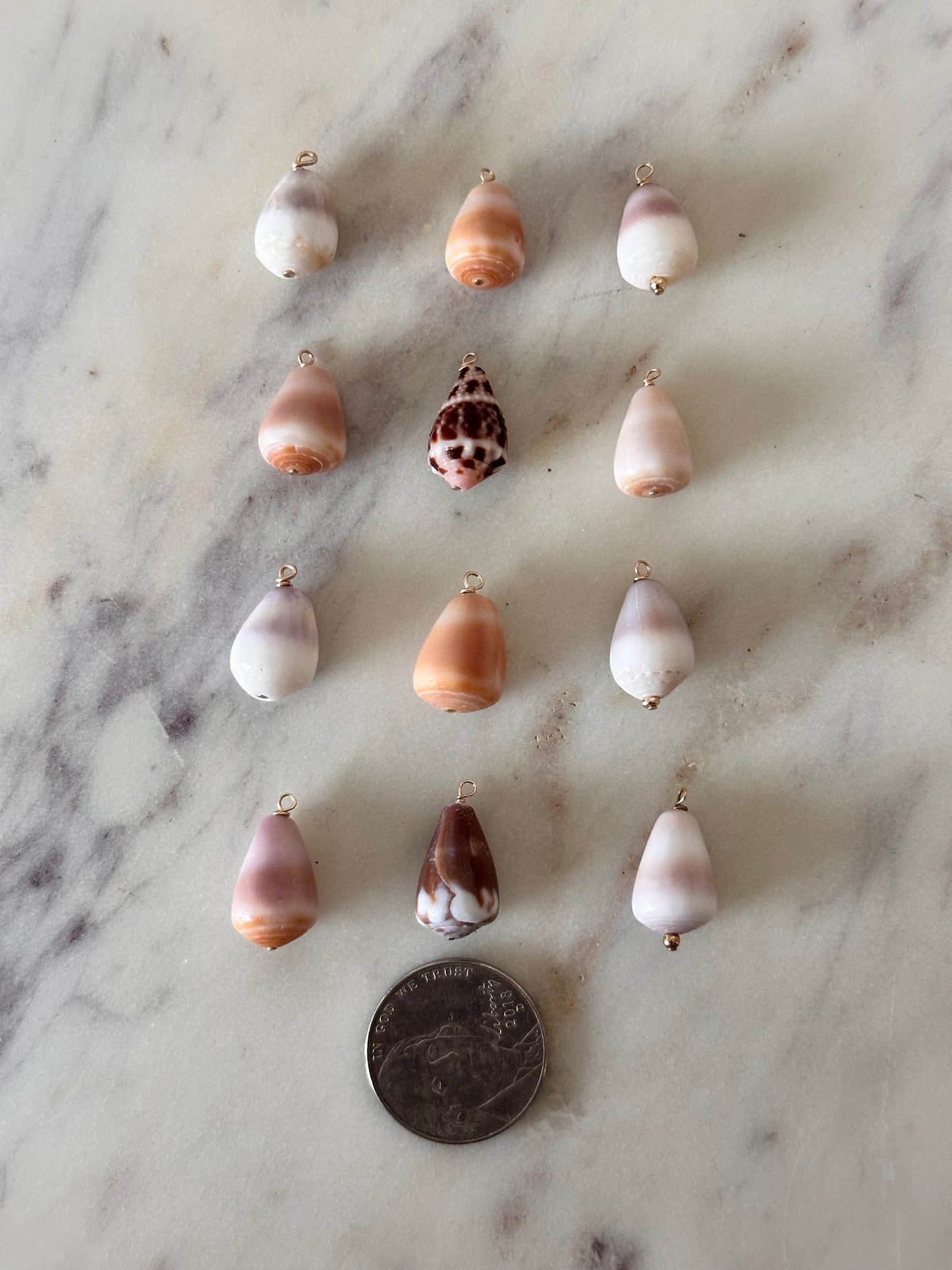 Charm Bar Mini Cone Shells