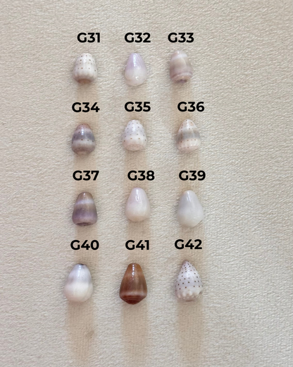 Charm Bar Shells