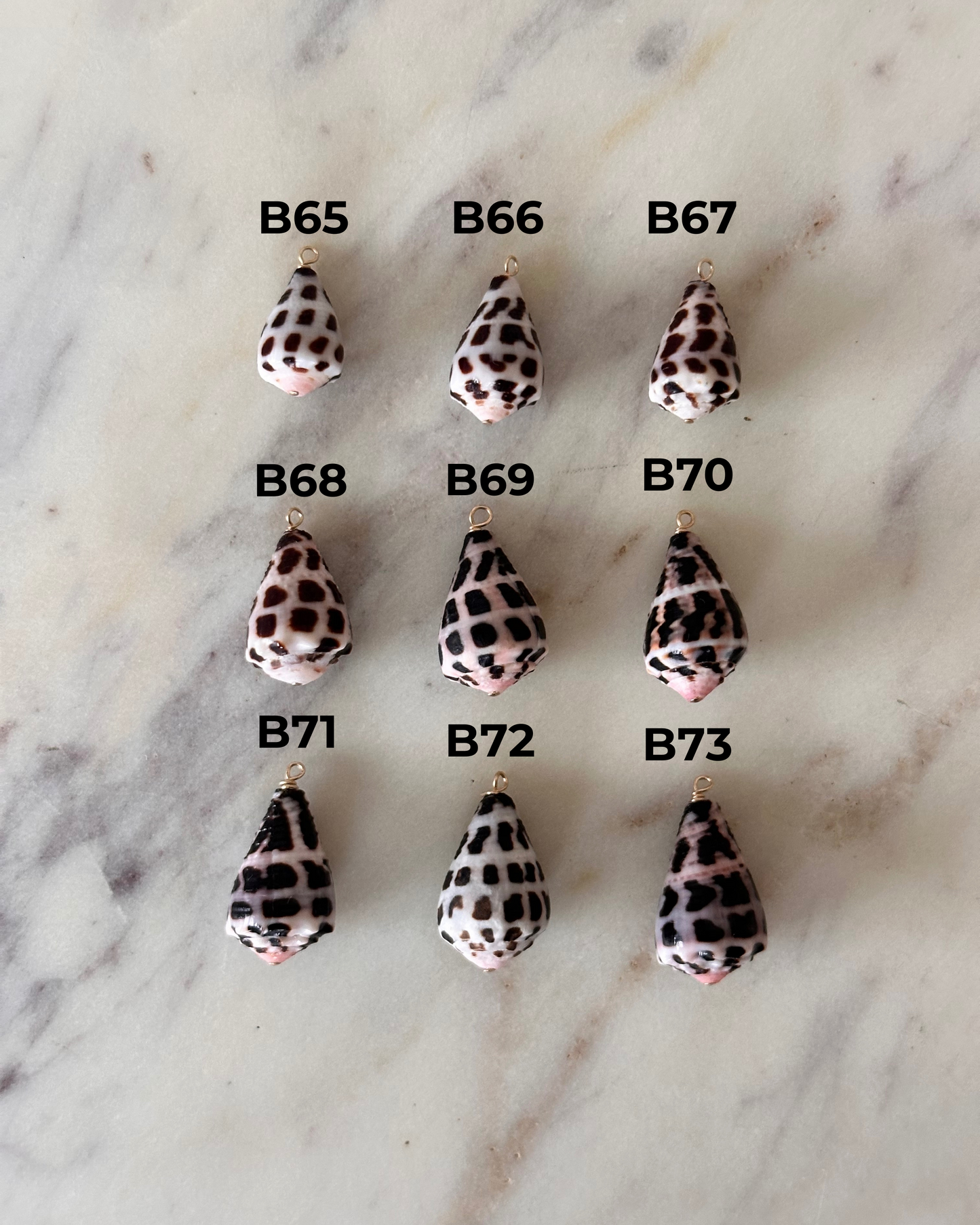 Charm Bar Hebrew Shells