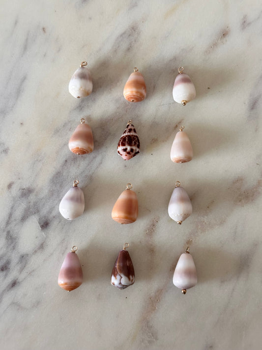 Charm Bar Mini Cone Shells