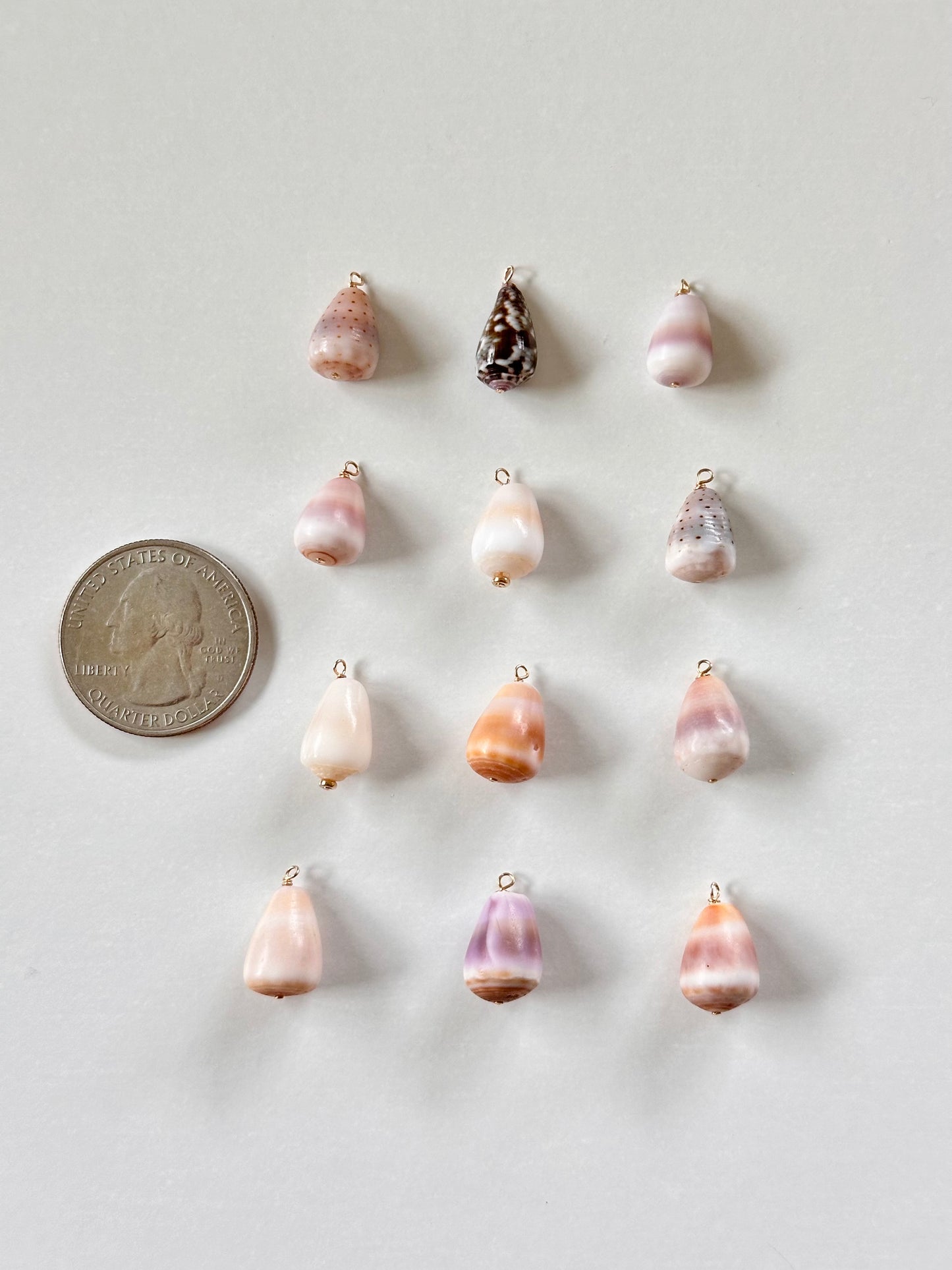 Charm Bar Mini Cone Shells