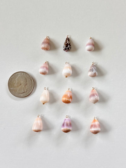 Charm Bar Mini Cone Shells