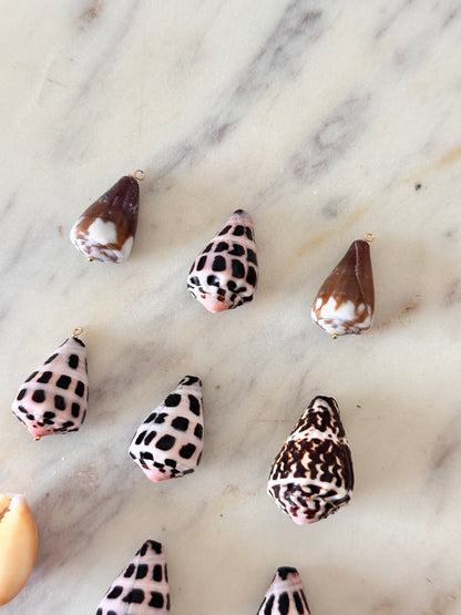 Charm Bar LARGE Shells