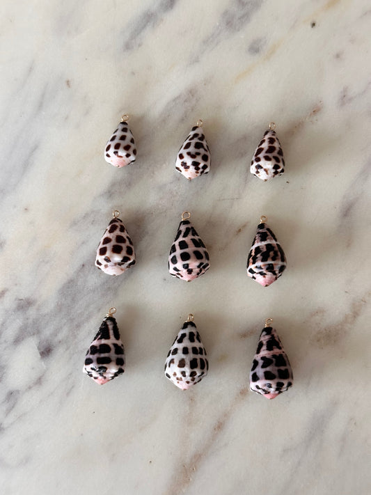 Charm Bar Hebrew Shells