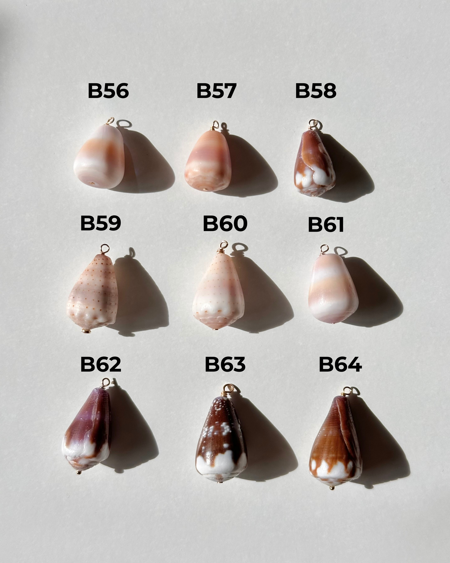 Charm Bar Shells