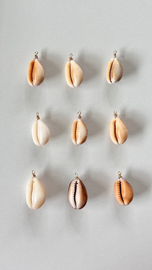 Charm Bar Cowrie Shells