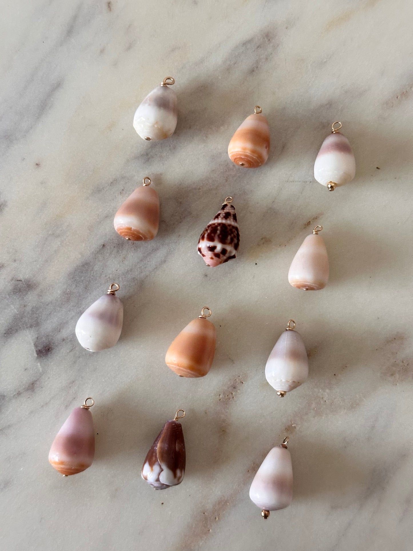 Charm Bar Mini Cone Shells