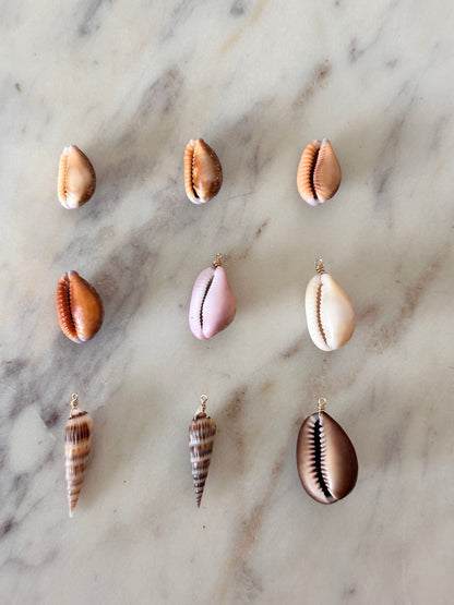 Charm Bar Cowrie Shells