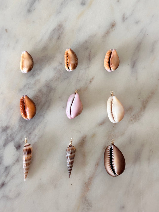 Charm Bar Cowrie Shells