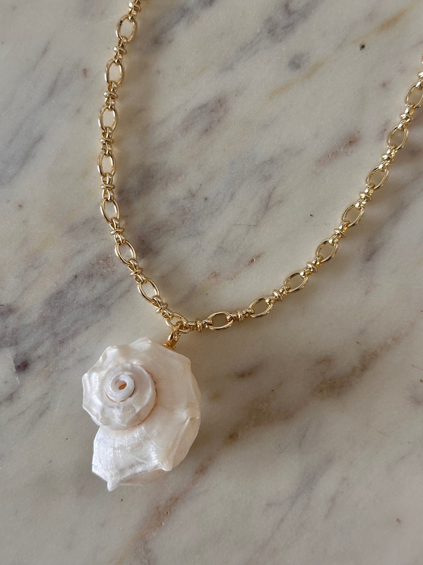 Nautilus Shell Necklace