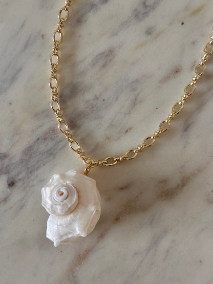 Nautilus Shell Necklace