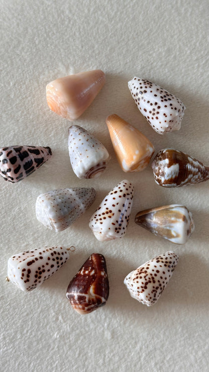 Charm Bar LARGE Shells