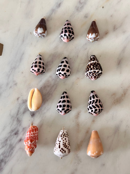 Charm Bar LARGE Shells