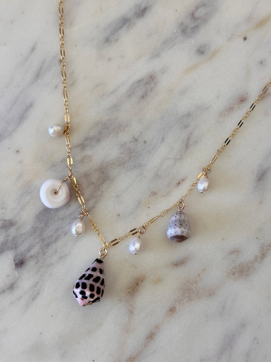 Marina Shell Necklace