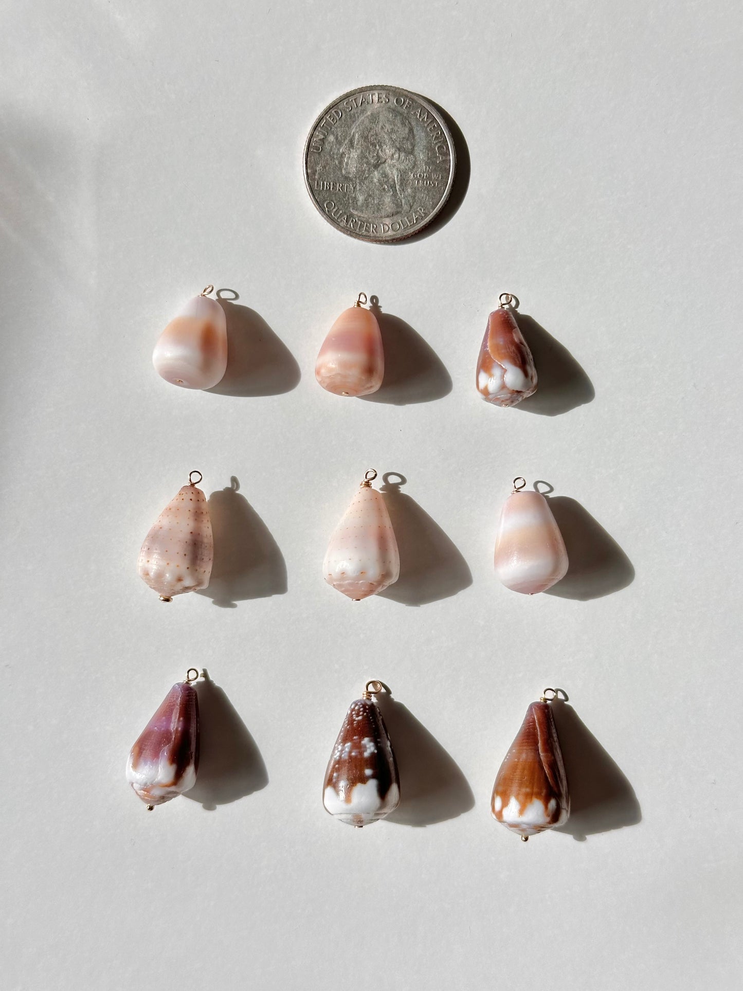 Charm Bar Shells