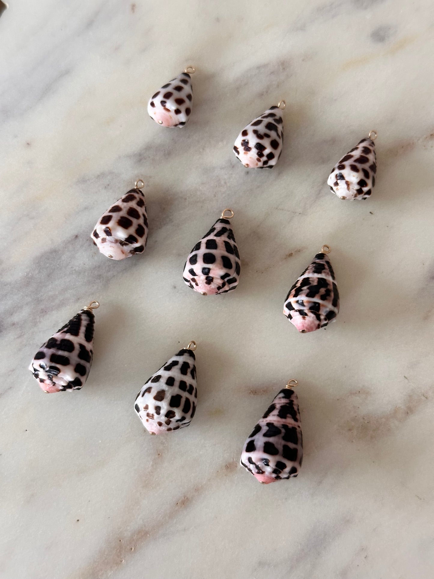 Charm Bar Hebrew Shells
