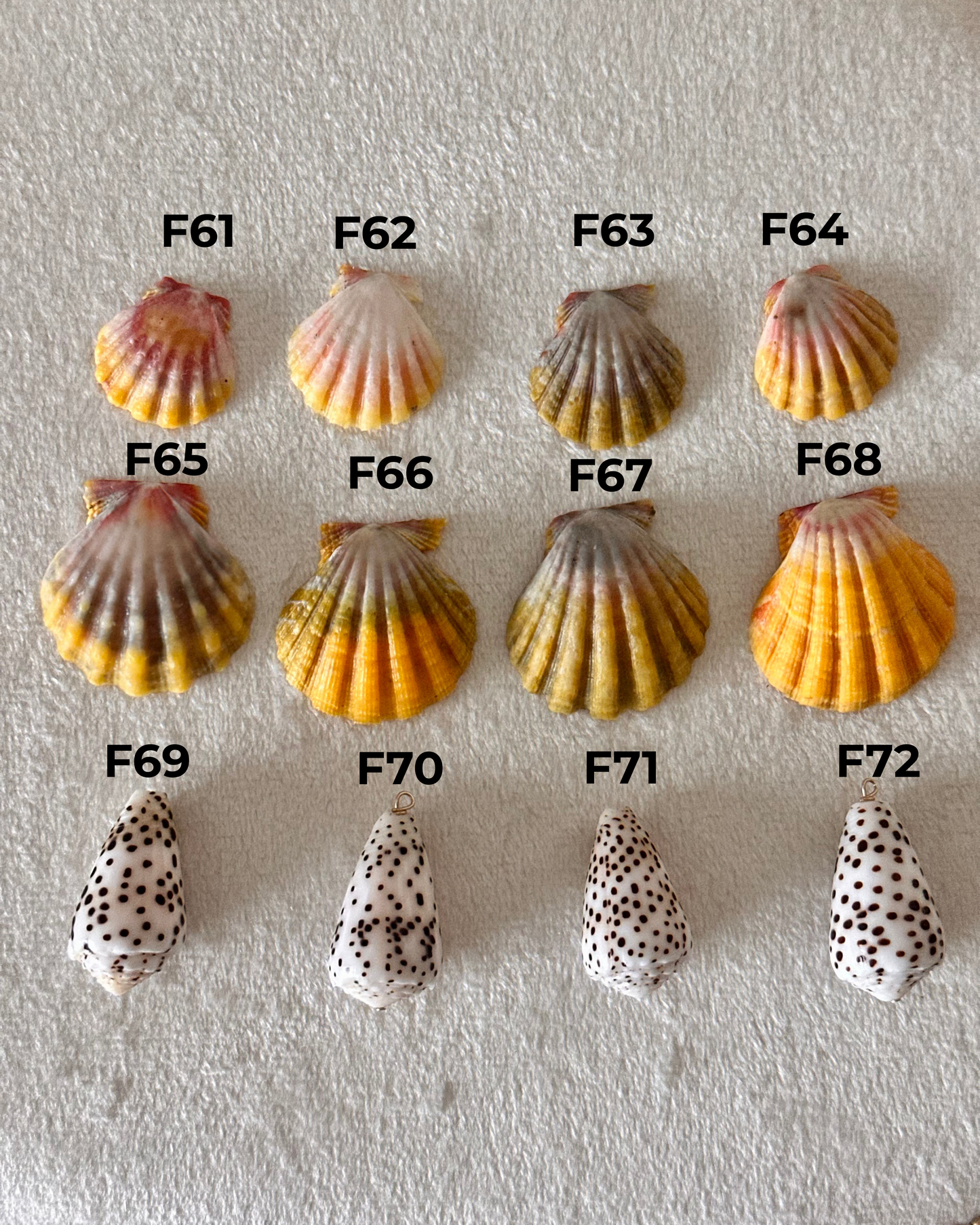 Charm Bar Sunrise + Flea Shells