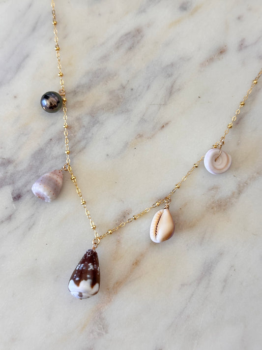 Marina Shell Necklace