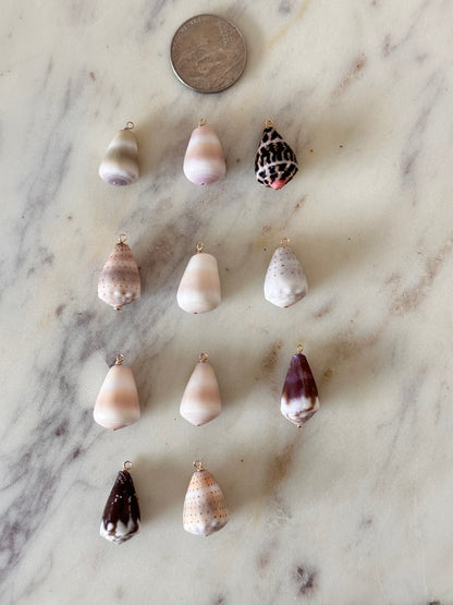 Charm Bar Shells