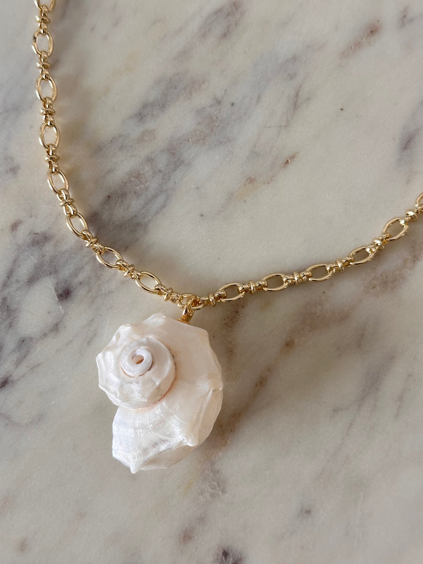 Nautilus Shell Necklace
