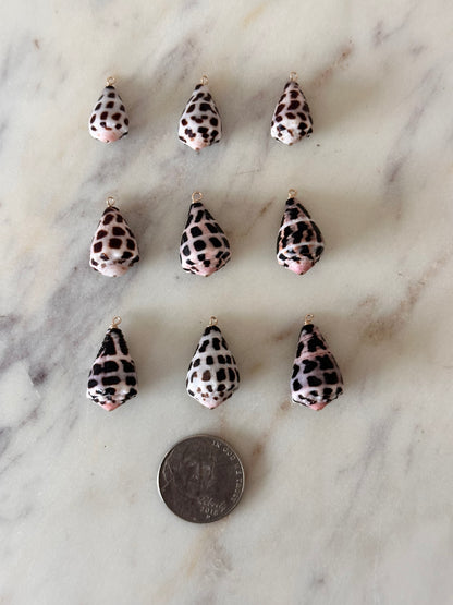 Charm Bar Hebrew Shells