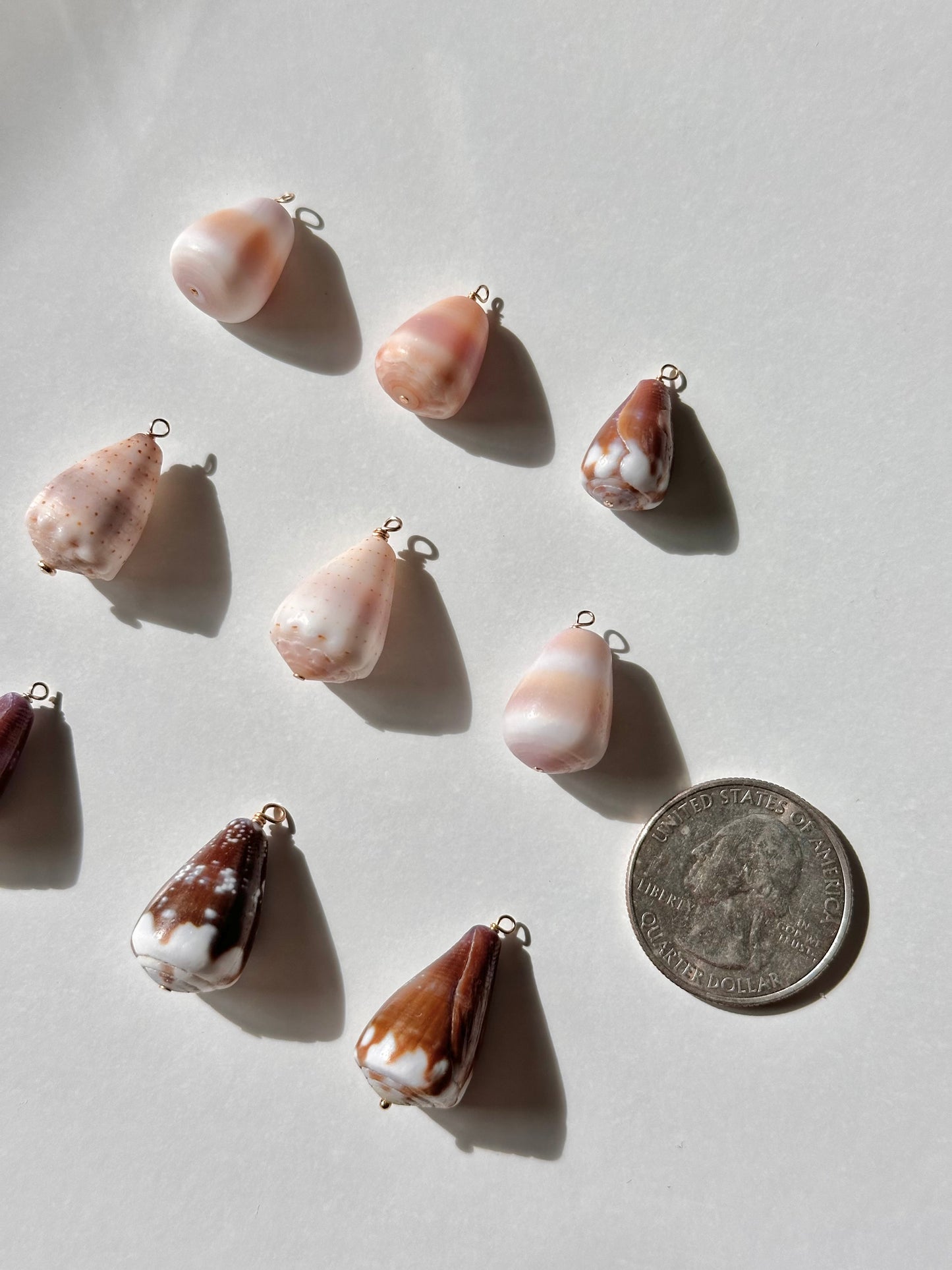 Charm Bar Shells