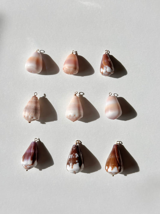 Charm Bar Shells