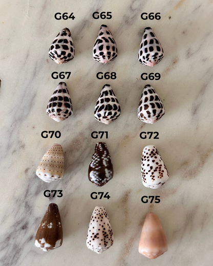 Charm Bar Cone Shells