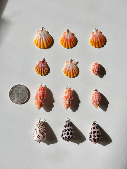 Charm Bar Sunrise, Miter, Hebrew + Flea Shells