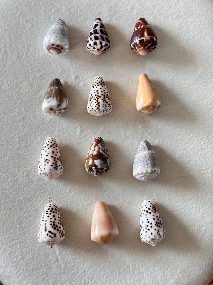 Charm Bar LARGE Shells