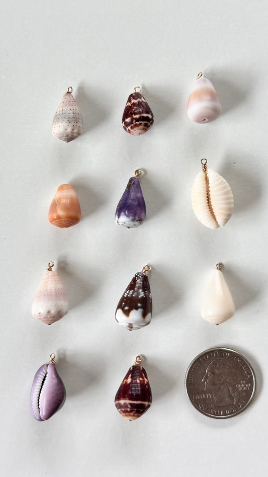 Charm Bar Shells